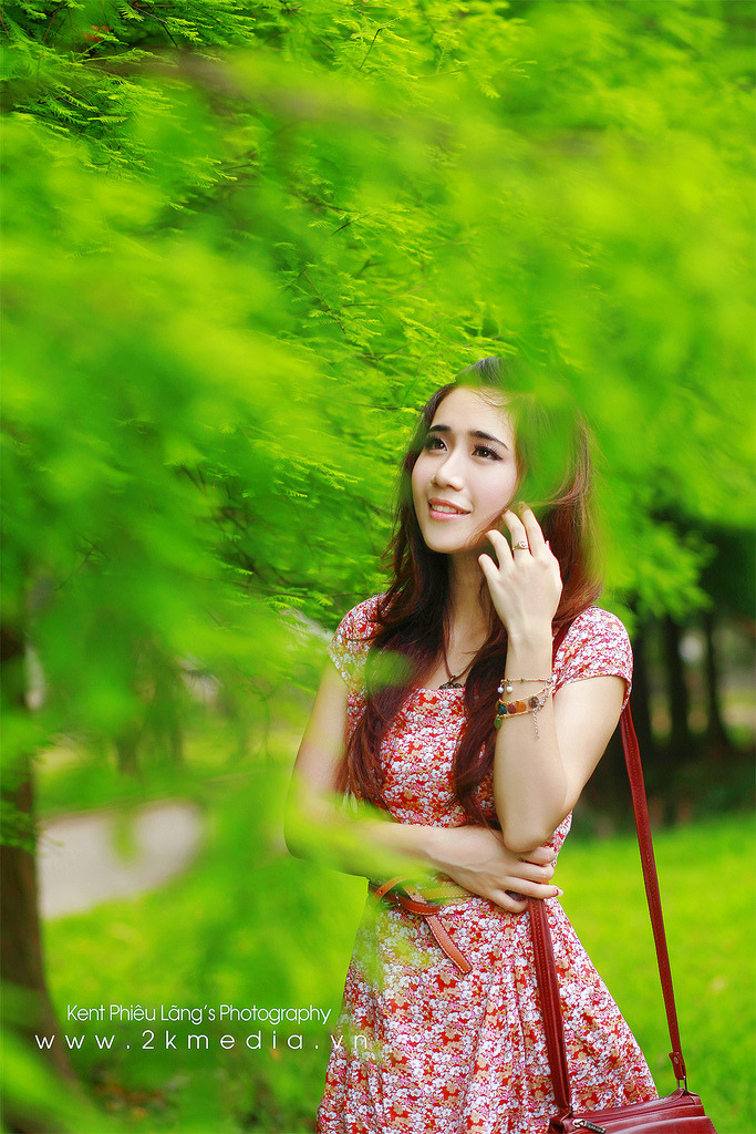 红槐花电视剧免费观看